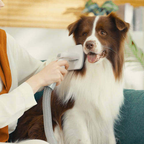 Oneisall LM2 Pet Grooming Vacuum Grooming Brush Replacement