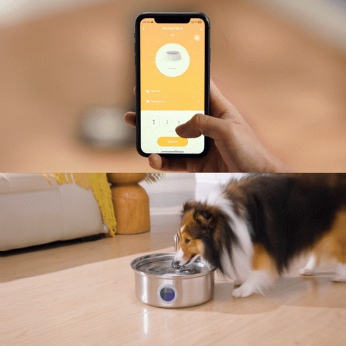 Oneisall 5L Automatic Cat Feeder with APP & 7L Corded Water Fountain with Visual Window Set