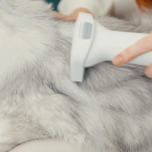Oneisall LM2 Pet Grooming Vacuum Deshedding Brush Replacement
