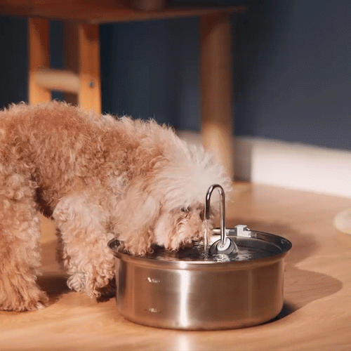 Oneisall 7L Pet Water Fountain with 1.5m Power Cord