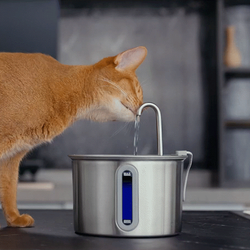 Oneisall 2L Cat Water Fountain 304 Stainless Steel with 3PCS Filters