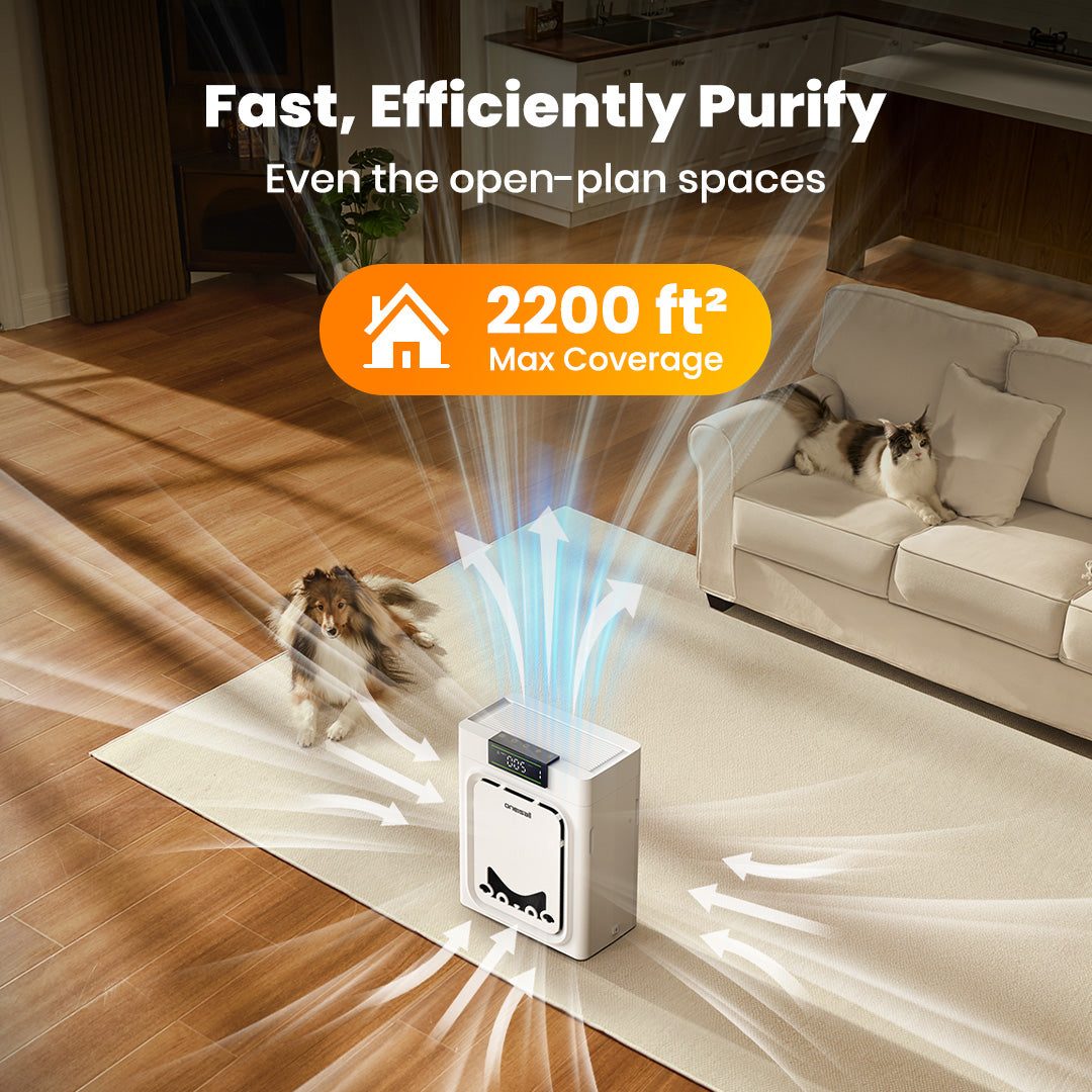 Oneisall Air Purifier for Homes with Pets, Double-Sided Inlet