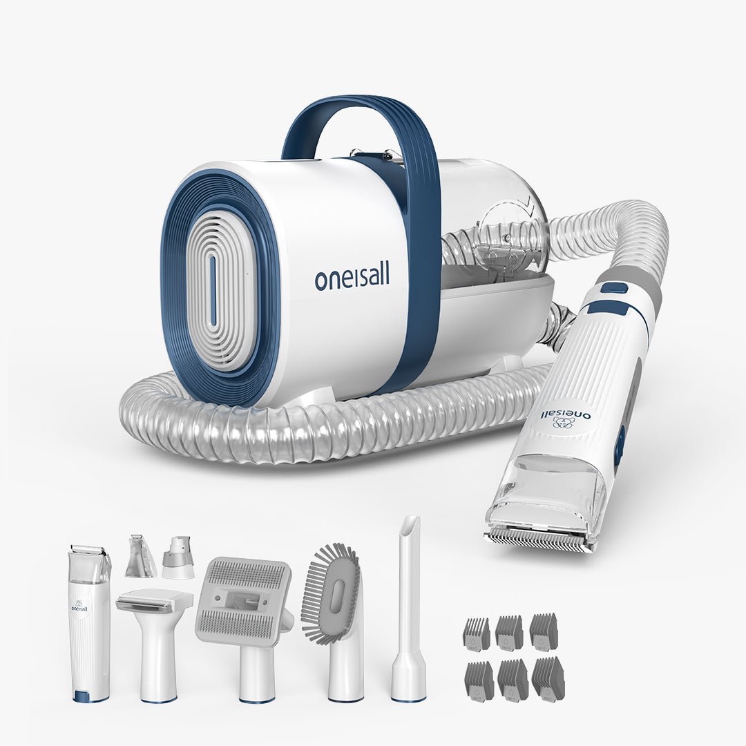 oneisall-CA
